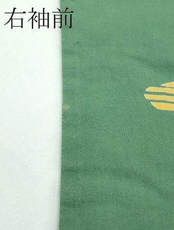 平和屋着物∴夏物 浴衣 トンボ 草花文 綿 逸品 CABF4796rv