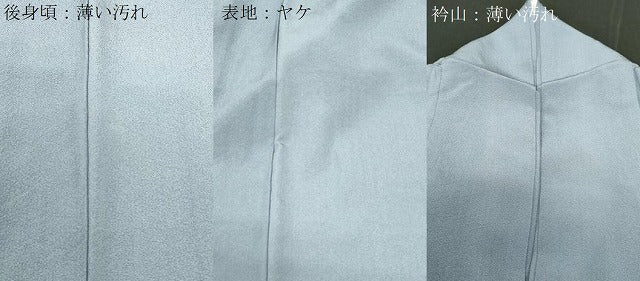 平和屋着物■豪華色留袖 草花文 暈し染め 正絹 逸品 CABF6156dy