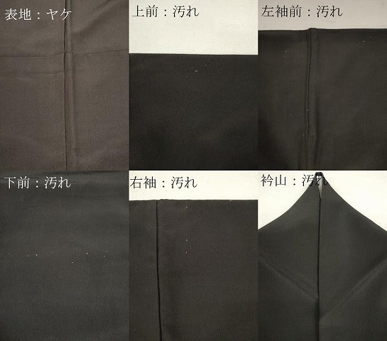 平和屋着物■黒留袖 尾長鳥花文 金彩 ロング丈 洗える着物 CABF6467ou
