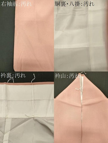 平和屋着物■訪問着 枝花文 暈し染め 正絹 逸品 CABF6741ou
