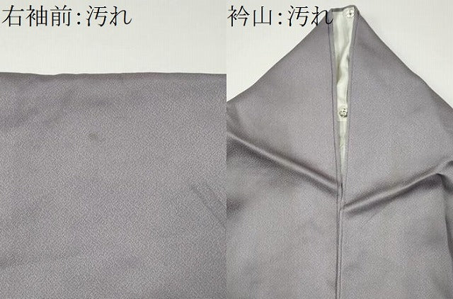平和屋着物■豪華色留袖 風景文 暈し染め 銀彩 正絹 逸品 CABF6800ou