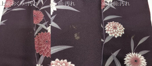 平和屋着物■小紋 草菊文 洗える着物 CABF8288xi