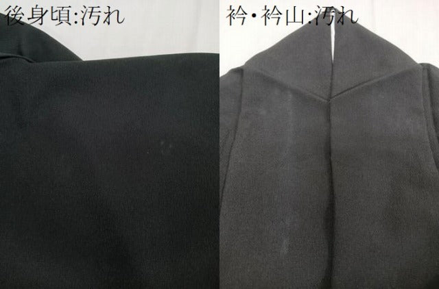 平和屋着物■訪問着 立波飛鳥船文 黒地 ロング丈 洗える着物 CABF8294xi