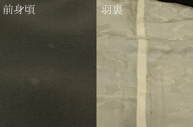 平和屋着物#羽織 寿光織 風景文 黒地 金糸 正絹 逸品 CABF8836in