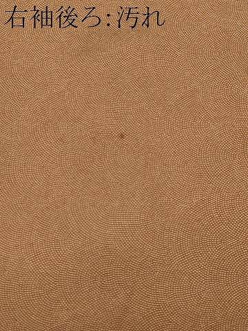 平和屋着物■江戸小紋 鮫小紋柄 正絹 逸品 CABF9589ev