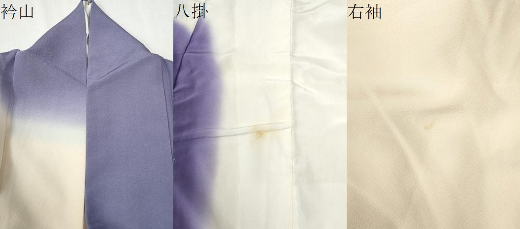 平和屋着物●訪問着 枝椿梅花文 金彩 正絹 逸品 CABG0416yc