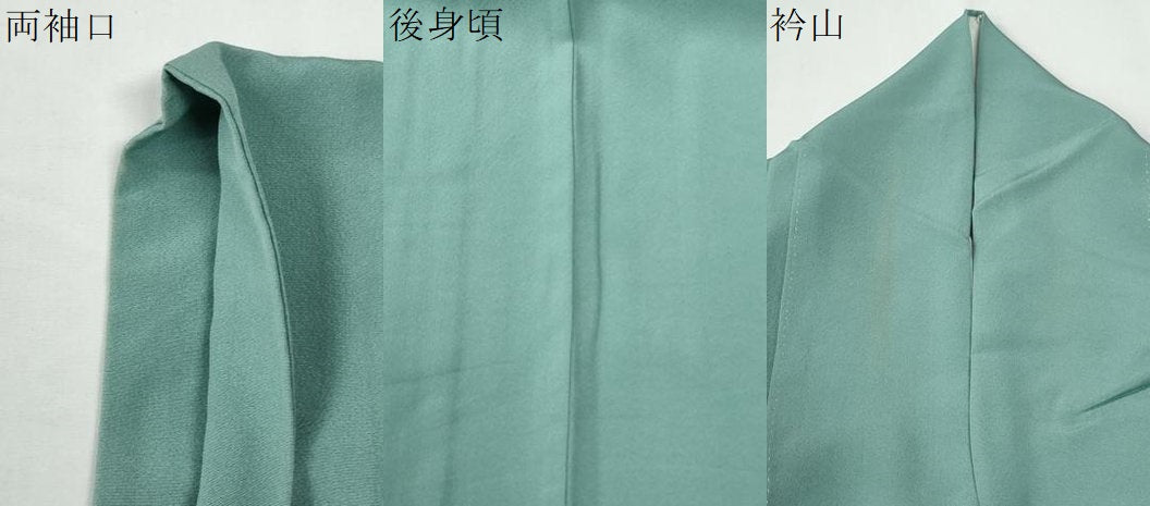 平和屋着物●上質な色無地 ワンポイント 枝花文 青磁色 ロング丈 正絹 逸品 CABG0635yc