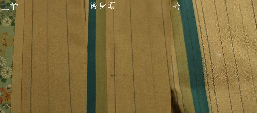 平和屋着物●訪問着 本場染大島紬 吉祥花間道 正絹 逸品 CABG0749yc