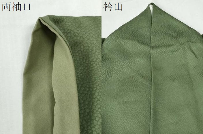 平和屋着物●訪問着 刺繍 飛鶴浜松梅文 暈し染め 金彩 ますいわ屋扱い 正絹 逸品 CABG1094yc