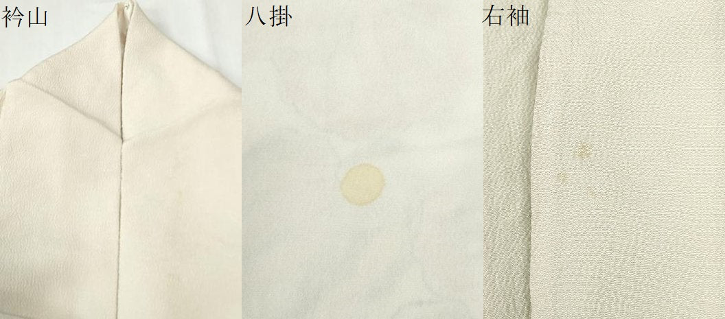 平和屋着物●訪問着 手描き 枝花文 鬼しぼ縮緬 正絹 逸品 CABG1194yc