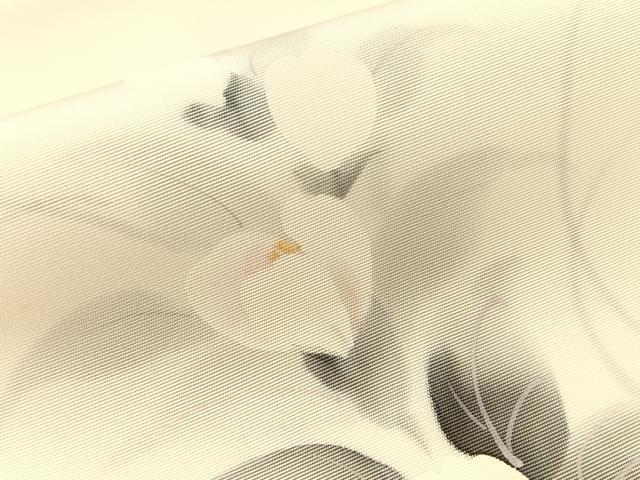 平和屋着物●塩瀬 九寸名古屋帯 作家物 手描き 草花文 金彩 逸品 CABG1624vp