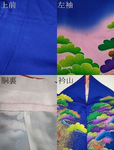 平和屋本店▼本手描友禅作家 秋山章 お引きずり・引き振袖 和装 結婚式 舞妓 芸妓 芸者 衣装 枝松文 暈し染め 金彩 CABG2080ze