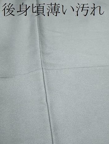 平和屋着物■訪問着 手描き 風景文 暈し染め 金彩 さが美扱い 正絹 逸品 CABG2202ze