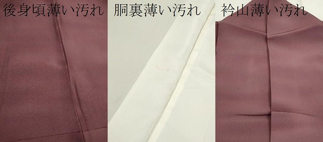 平和屋着物■虹色創家 本郷大田子 小紋 大田子そめ 霞文 暈し染め 正絹 逸品 CABG2203ze