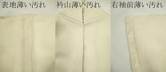 平和屋着物■上質な色無地 箔散らし 象牙色 正絹 逸品 CABG2204ze