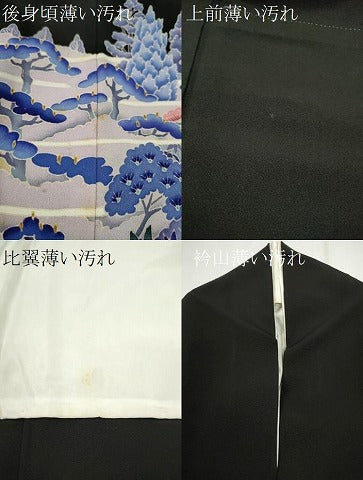 平和屋着物■豪華黒留袖 友禅 作家物 風景文 三越扱い 正絹 逸品 CABG2211ze