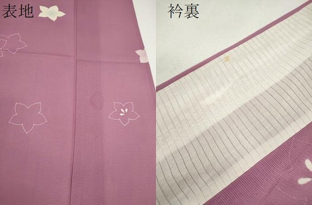 平和屋着物*夏物 訪問着 絽 舞花文 正絹 逸品 CABG2218ze