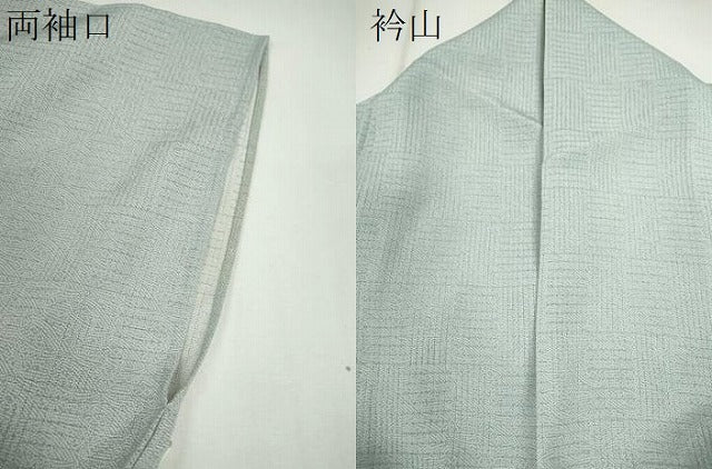 平和屋着物*夏物 江戸小紋 変わり絽 吉祥文 正絹 逸品 CABG2258ze