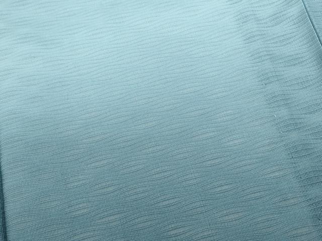 平和屋着物*夏物 訪問着 紗 暈し染め 正絹 逸品 CABG2292ze