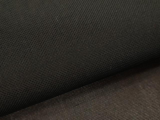 平和屋着物*夏物 色無地 紗 濡羽色 正絹 逸品 未使用 CABG2293ze