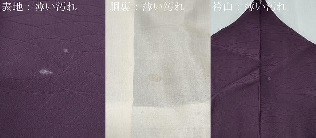 平和屋着物■上質な色無地 芝草地紋 葡萄色 正絹 逸品 CABG2729th