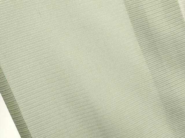 平和屋着物*夏物 色留訪問着 絽 手描き 葡萄蔦の葉文 暈し染め 正絹 逸品 CABG3225tx