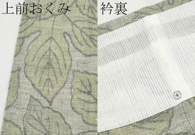 平和屋着物*夏物 小紋 葉尽くし CABG3267tx