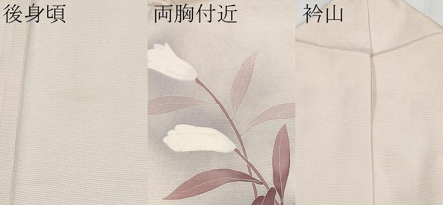 平和屋着物*夏物 訪問着 絽 草花文 暈し染め 正絹 逸品 CABG3281tx