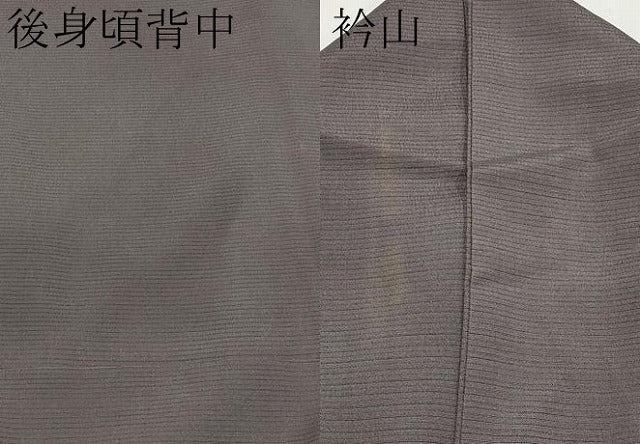 平和屋着物*夏物 訪問着 絽縮緬 草花文 銀彩 正絹 逸品 CABG3286tx