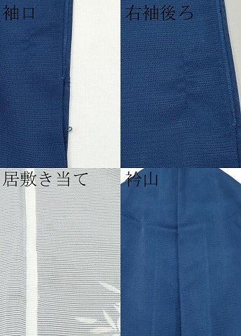 平和屋着物*夏物 訪問着 絽 枝葉文 洗える着物 CABG3299tx