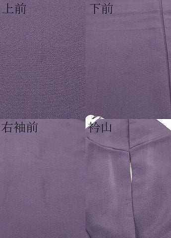 平和屋着物●訪問着 友禅 藤花房 暈し染め 正絹 逸品 CABG3410tx