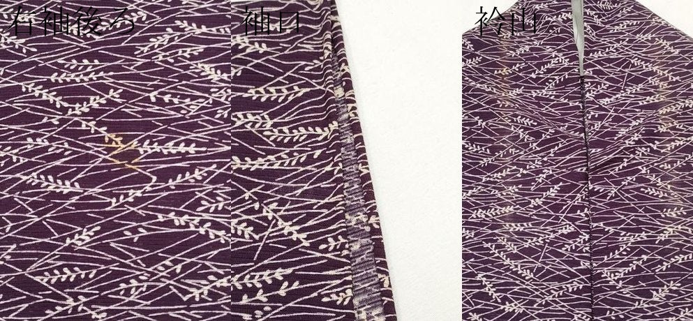 平和屋着物*夏物 小紋 絽 枝葉文 正絹 逸品 CABG3453tx