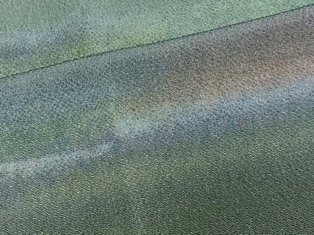 平和屋着物∞染色家 岩浅公展 道中着 霞文 暈し染め ロング丈 正絹 逸品 未使用 CABG3680ua