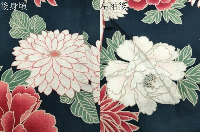 平和屋着物∴夏物 浴衣 草花文 綿 逸品 CABG4068gh