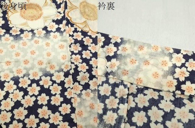 平和屋着物∴夏物 浴衣 舞蝶桜文 やまと誂製 綿 逸品 CABG4177gh
