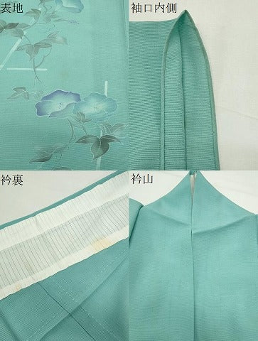 平和屋着物*夏物 訪問着 絽 朝顔 正絹 逸品 CABG4266gh