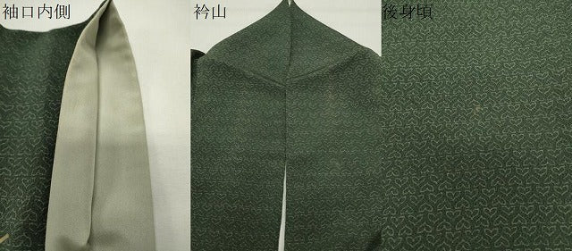 平和屋着物●訪問着 舞葉文 暈し染め 鬼しぼ縮緬 正絹 逸品 CABG4491gh