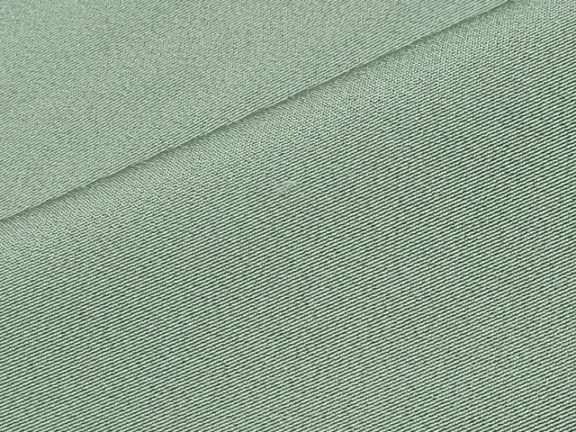 平和屋着物●上質な色無地 夏虫色 正絹 逸品 CABG4599gh