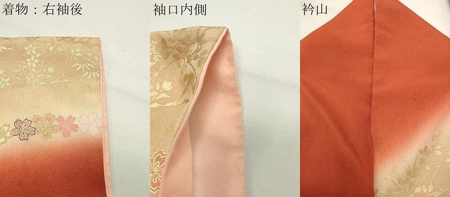 平和屋着物●豪華振袖・長襦袢セット 駒刺繍 舞花文 暈し染め 金彩 半衿刺繍 正絹 逸品 CABG4603gh