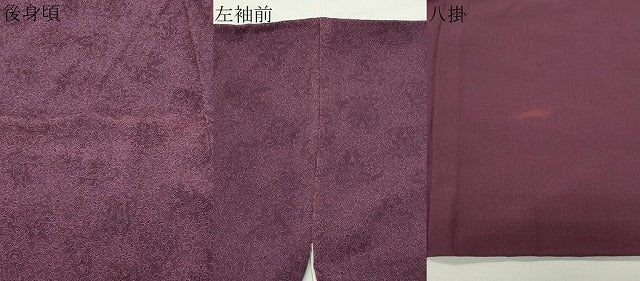 平和屋着物●重要無形文化財 人間国宝 中村勇二郎 江戸小紋 国宝平等院雲中供養菩薩像五十二 正絹 逸品 CABG4761gh
