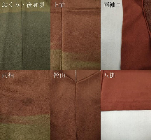 平和屋着物●訪問着 霞文 鬼しぼ縮緬 正絹 逸品 CABG5367ut
