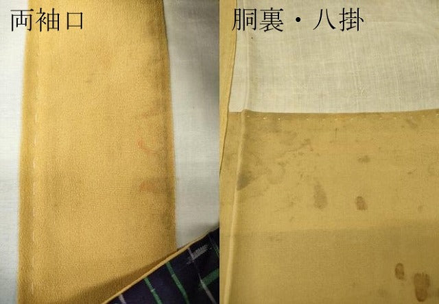 平和屋着物●本場大島紬 龍郷絣 秋名バラ 正絹 逸品 CABG5471ut