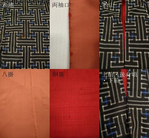 平和屋着物●本場大島紬 龍郷絣 秋名バラ 正絹 逸品 CABG5472ut