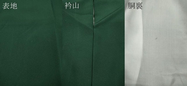 平和屋着物●上質な色無地 虫襖色 正絹 逸品 CABG5504ut
