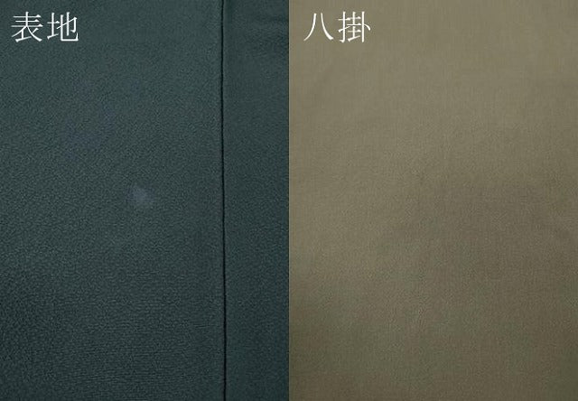 平和屋着物●世界的人形師 辻村寿三郎 ジュサブロー 訪問着 舞花びら 金彩 ロング丈 正絹 逸品 CABG5539ut