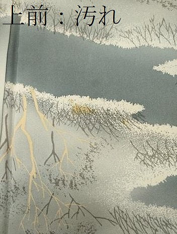 平和屋着物■上質な小紋 草木文 暈し染め 正絹 逸品 CABG5602oy
