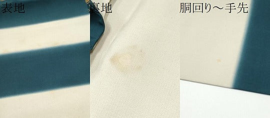 平和屋着物●九寸名古屋帯 手描き 草花丸文 金彩 正絹 逸品 CABG6083hy