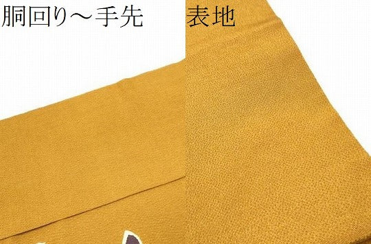 平和屋着物●九寸名古屋帯 型染め 舞葉梅文 鬼しぼ縮緬 正絹 逸品 CABG6211hy