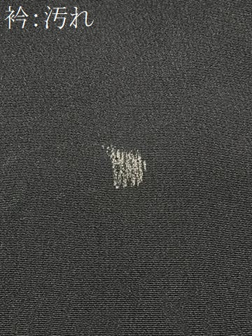 平和屋着物■豪華黒留袖 短冊花鳥文 暈し染め 銀彩 正絹 逸品 CABG6469xe
