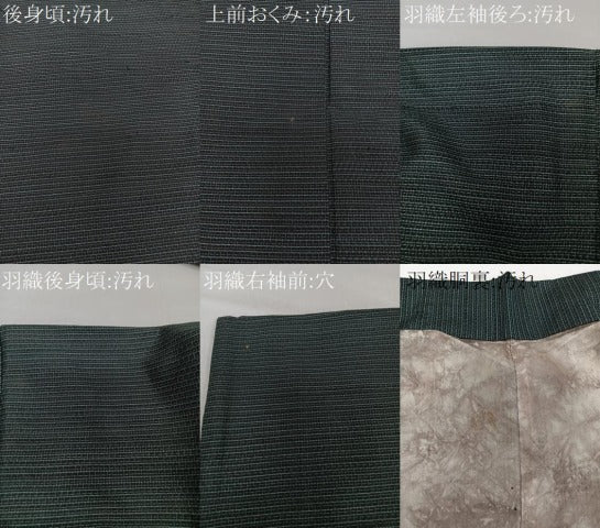 平和屋着物■男性 紬 アンサンブル 亀甲文様 正絹 逸品 CABG7108xi
